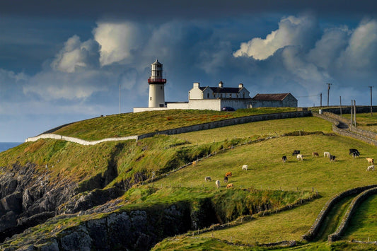 Cork