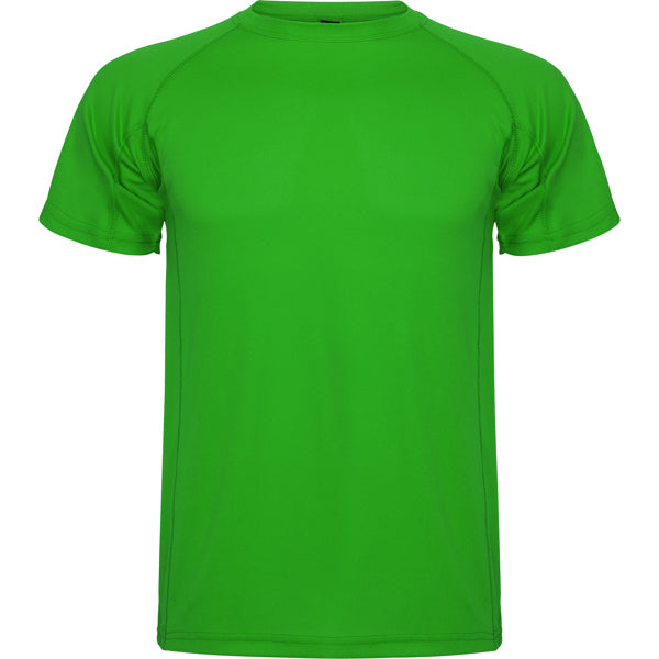 Roly Montecarlo men's T-shirt in fern green, ready for logo printing or embroidery