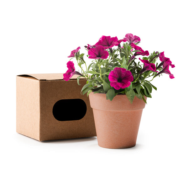 Stamina Volen flowerpot with petunia seeds, ready for logo printing