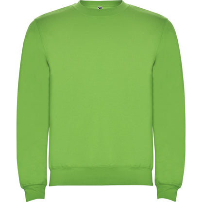 Roly Clasica unisex jumper in oasis green, ready for logo printing or embroidery