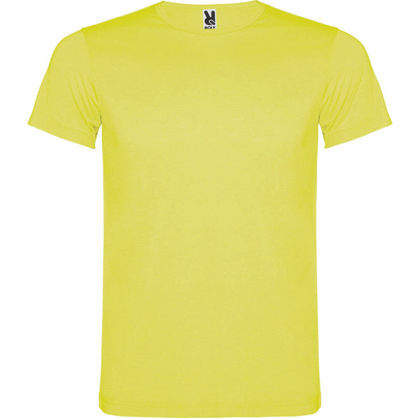 Roly Akita men's T-shirt in fluor yellow, ready for logo printing or embroidery