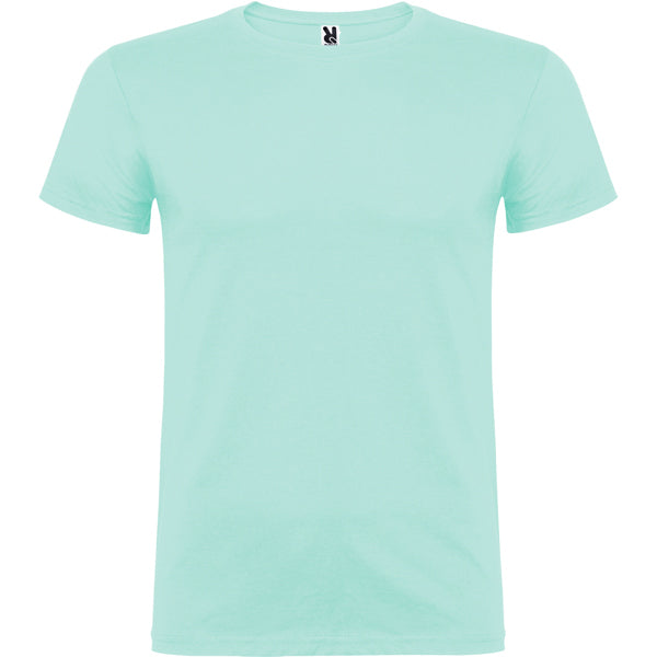 Roly Beagle unisex T-shirt in green mint, ready for logo printing or embroidery