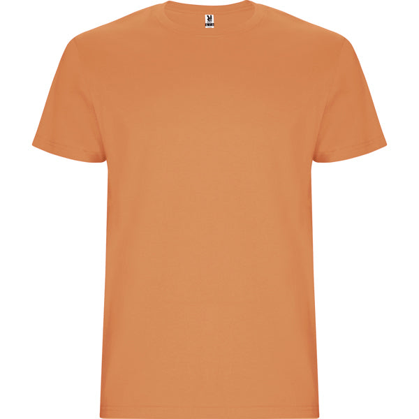 Roly Stafford men's T-shirt in moca, ready for logo printing or embroidery