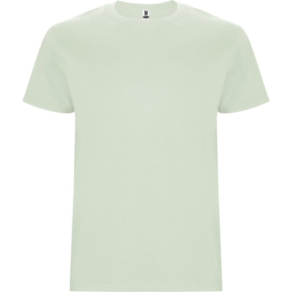 Roly Stafford men's T-shirt in mist green, ready for logo printing or embroidery