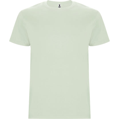 Roly Stafford men's T-shirt in mist green, ready for logo printing or embroidery