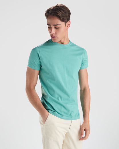 Roly Stafford men's T-shirt in white, alternative view, ready for logo printing or embroidery