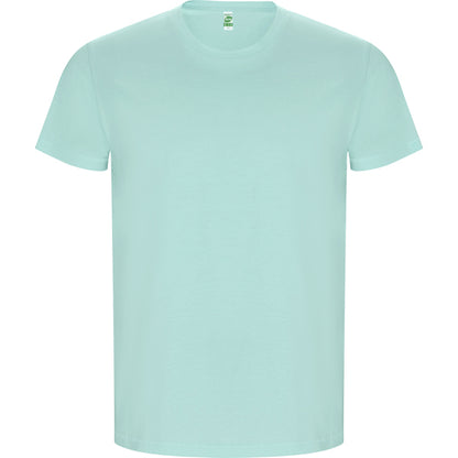 Roly Golden men's T-shirt in green mint, ready for logo printing or embroidery