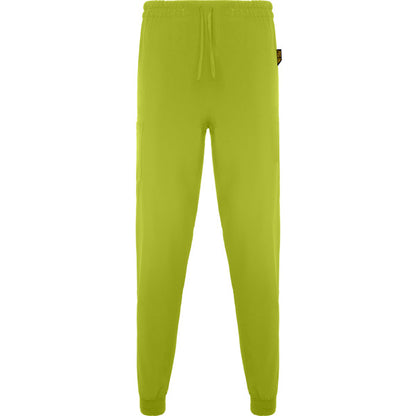 Roly WRK Fiber unisex trousers in pistachio, ready for logo printing or embroidery