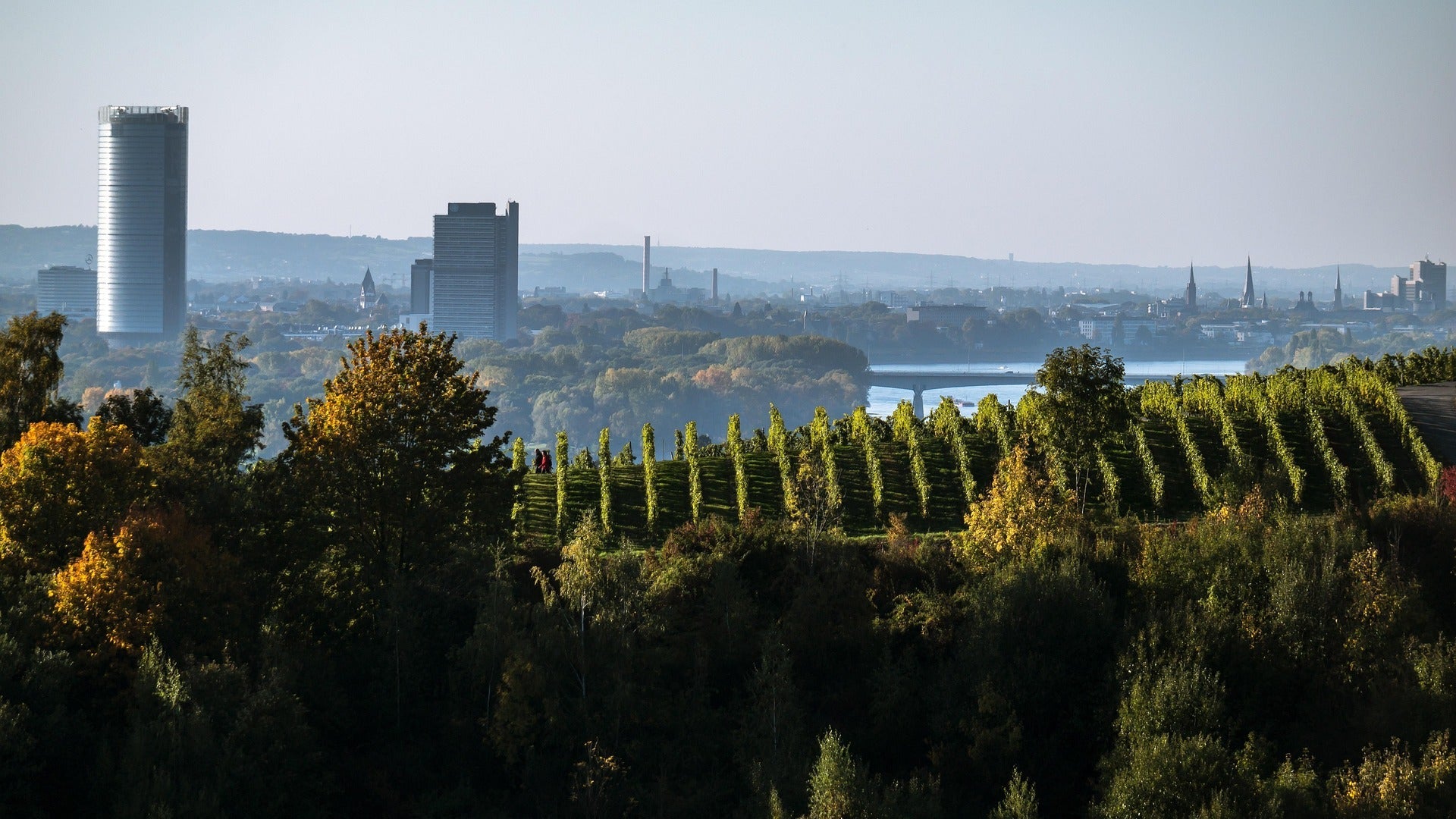Panorama Bonn – Ehemalige Hauptstadt, heute wichtiger Standort für UN-Institutionen und Firmenwerbeartikel