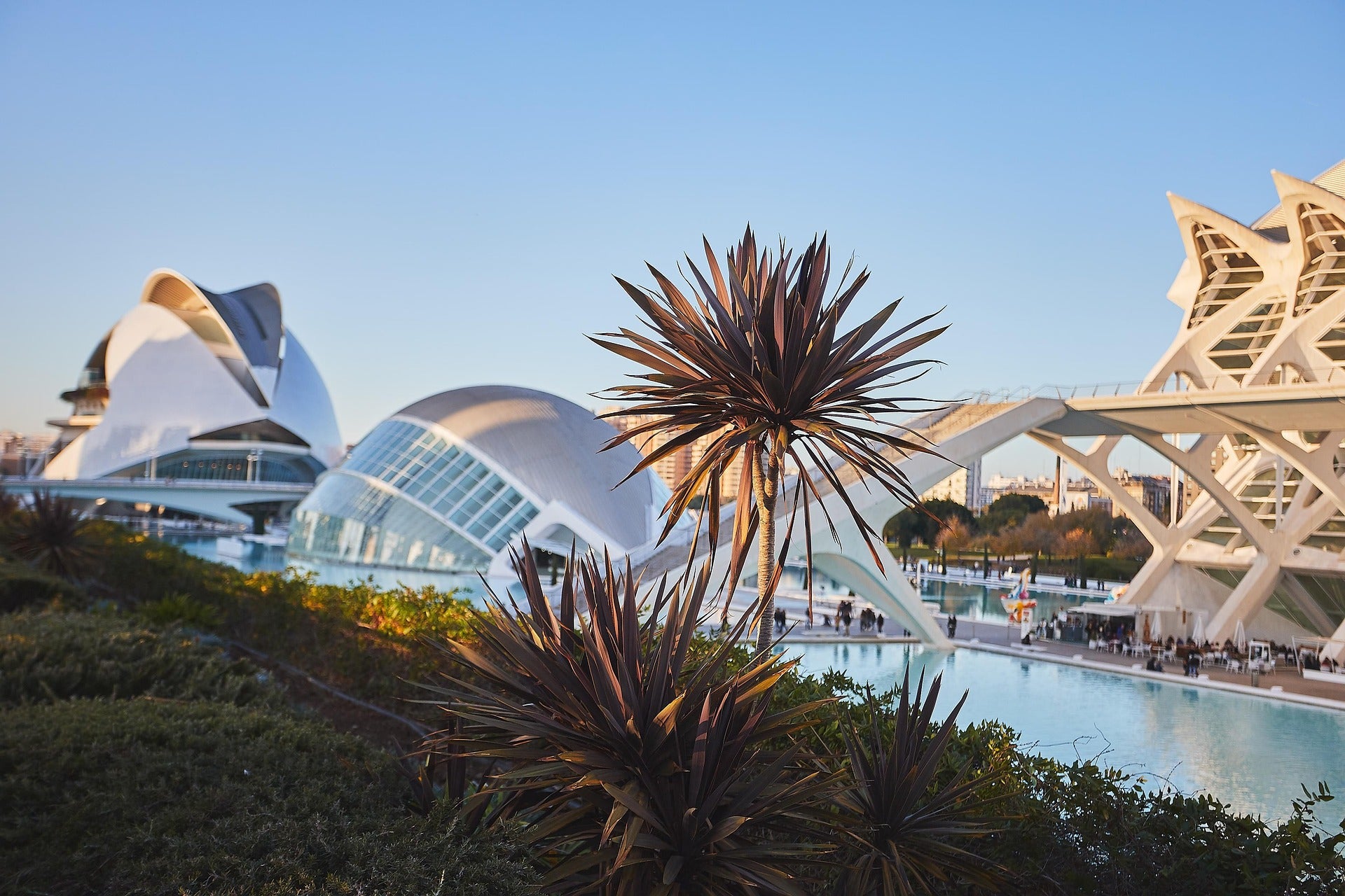 Ciudad de las Artes y las Ciencias en Valencia, representando la entrega de artículos promocionales para turismo, gastronomía y comercio internacional.